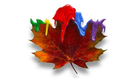 Spestrite si Váš e-shop