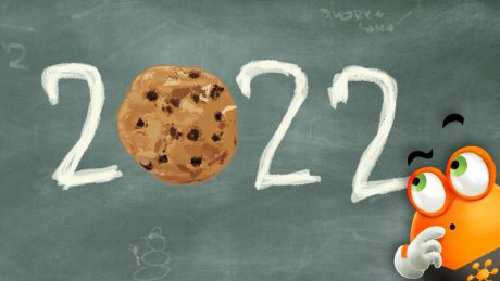Cookies v roku 2022