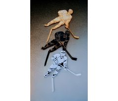 Zápich mix Hokejista