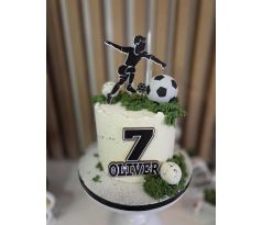 Sprej VELVET 400ml (semišový)