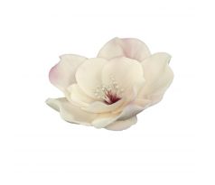 Cukrová dekorácia kvet Eustoma ecru ružová