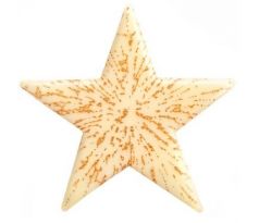 Čokoládová vianočná dekorácia hviezda bielozlatá 48ks